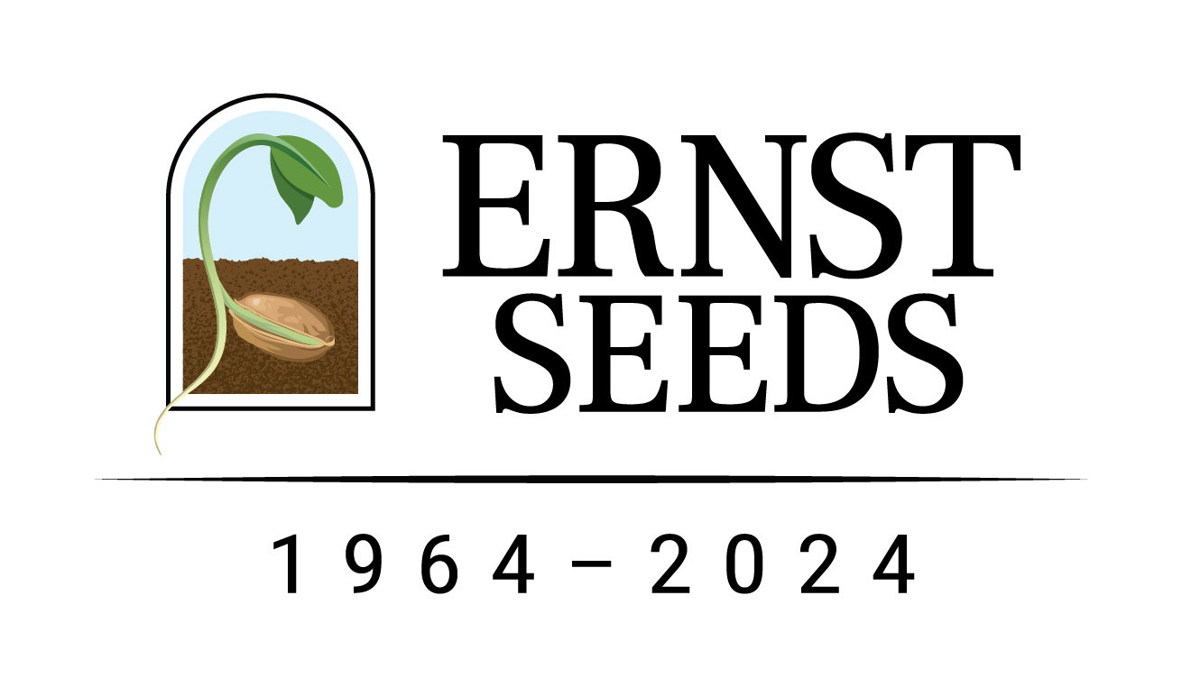 Ernst Seeds